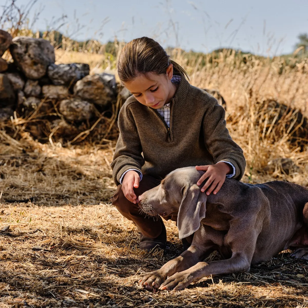 Детский свитер с половинной молнией Verhunt, бежевый
Детский свитер с половинной молнией Verhunt, бежевый