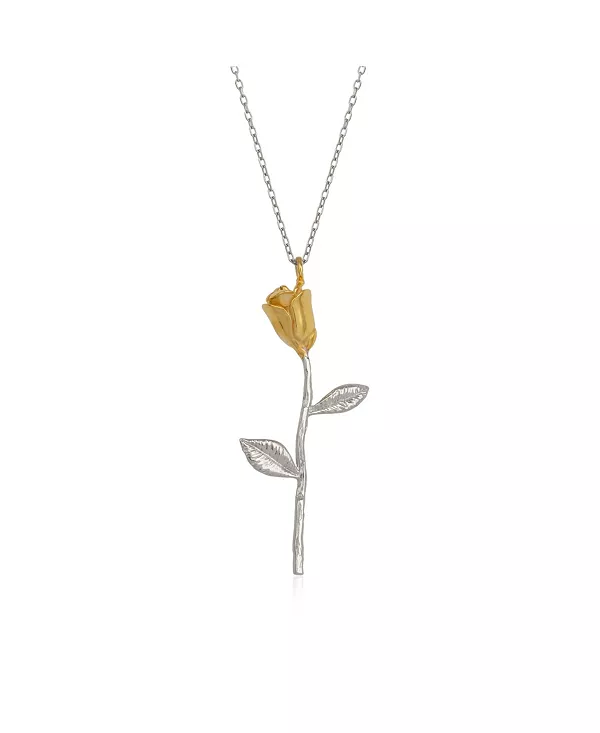 Ожерелье из стерлингового серебра золотистого цвета Spero London, silver
Ожерелье из стерлингового серебра золотистого цвета Spero London, silver