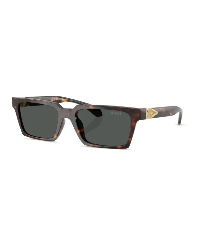 Солнцезащитные очки Ve4490U 108/87 Versace, коричневый
Солнцезащитные очки Ve4490U 108/87 Versace, коричневый