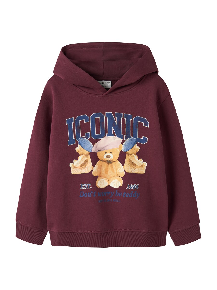 Толстовка NAME IT NKFRYCCA, бургундия
Толстовка NAME IT NKFRYCCA, бургундия