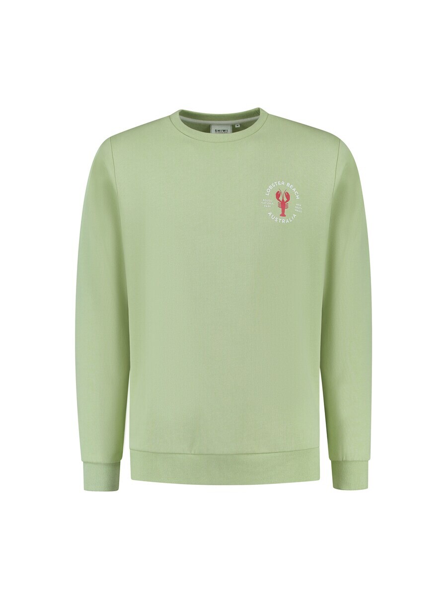 Свитер Shiwi Sweatshirt, цвет reed
Свитер Shiwi Sweatshirt, цвет reed