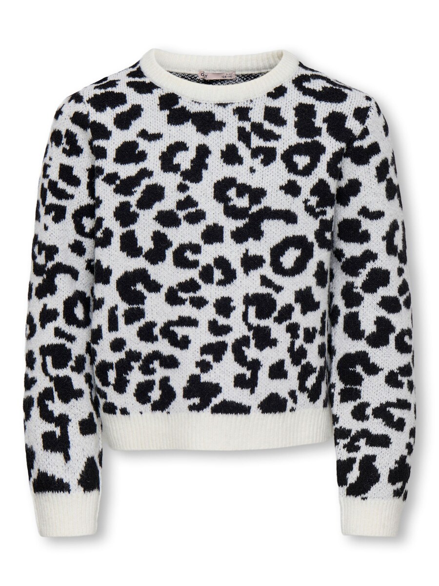 Свитер ONLY GIRLS KOGDORA, белый
Свитер ONLY GIRLS KOGDORA, белый