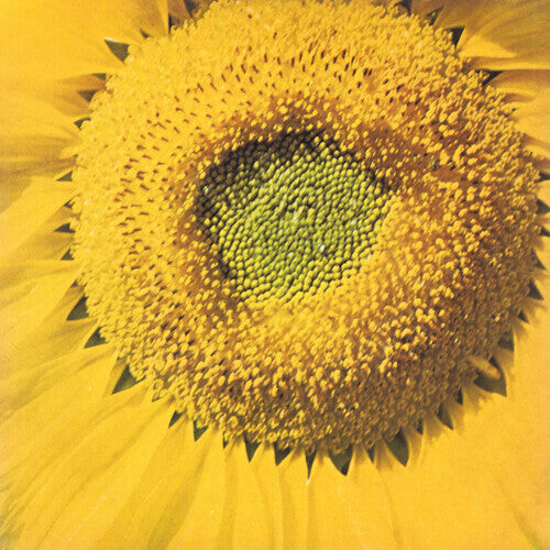 Сингл 7" Valle, Marvos: Girassol
Сингл 7" Valle, Marvos: Girassol