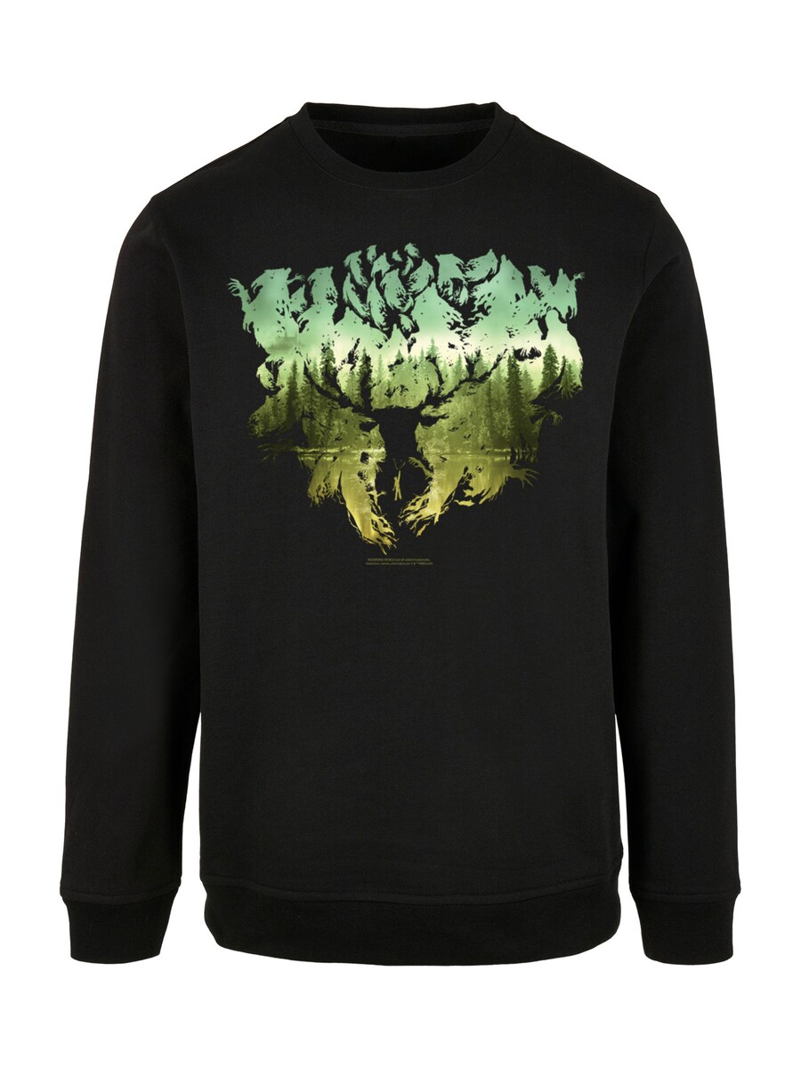 Толстовка F4NT4STIC Harry Potter Magical Forest, черный
Толстовка F4NT4STIC Harry Potter Magical Forest, черный
