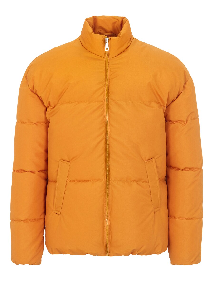 Зимняя куртка Daniel Hills, цвет Mustard
Зимняя куртка Daniel Hills, цвет Mustard