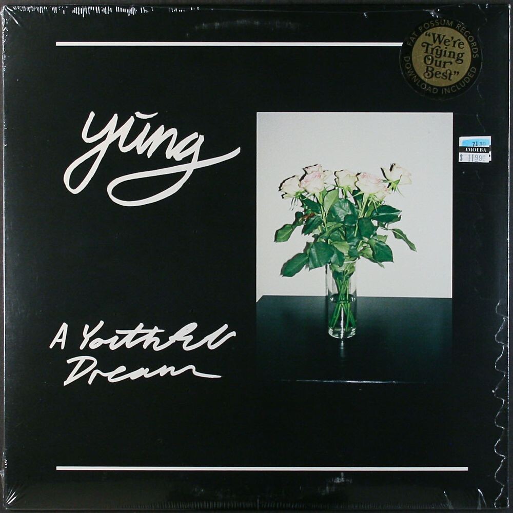 Виниловая пластинка LP A Youthful Dream - Yung
Виниловая пластинка LP A Youthful Dream - Yung