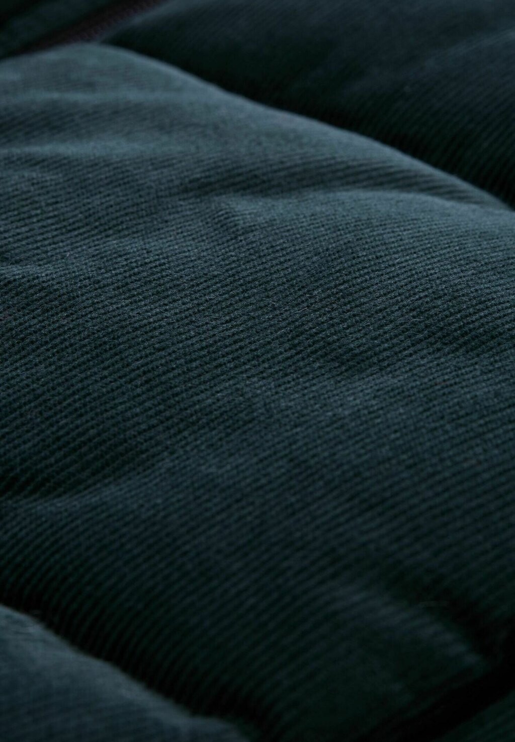 Жилет TOM TAILOR DENIM, темно-зеленый
Жилет TOM TAILOR DENIM, темно-зеленый