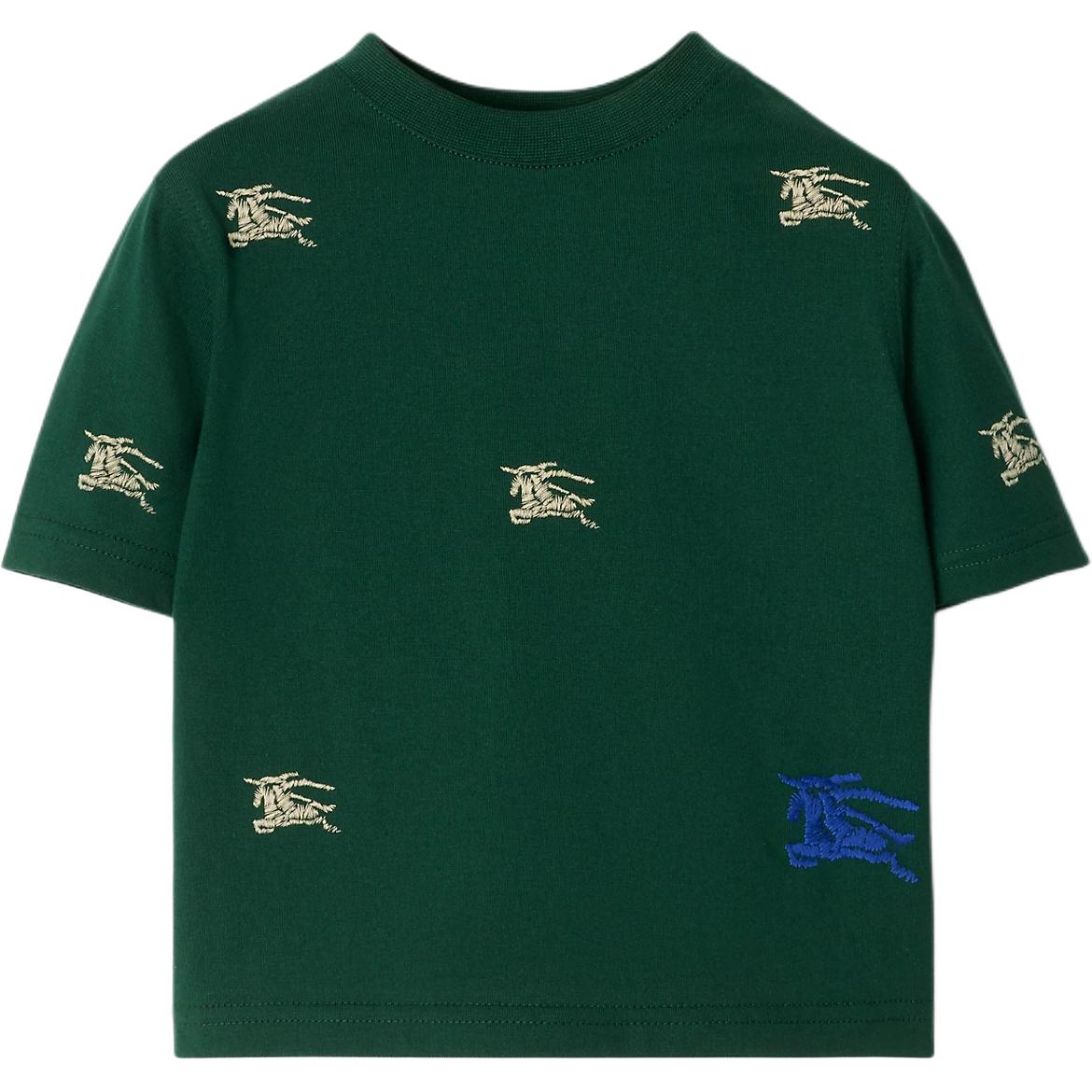 Детская футболка Burberry, зеленый
Детская футболка Burberry, зеленый