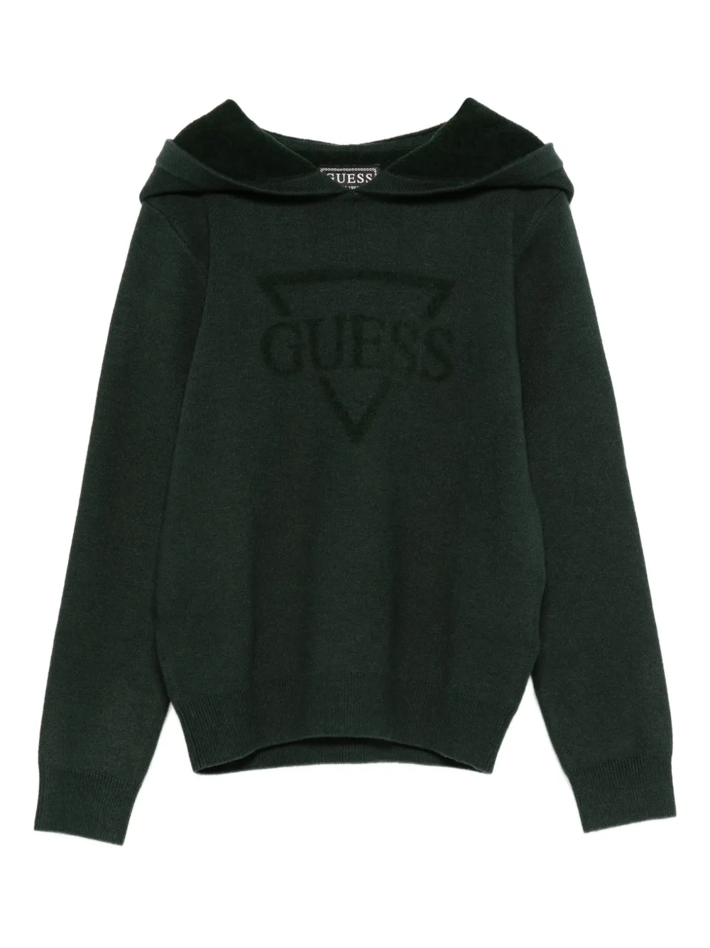 Худи с логотипом Guess Kids, зеленый
Худи с логотипом Guess Kids, зеленый