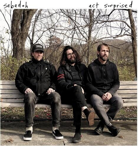 Виниловая пластинка Sebadoh - Act Surprised
Виниловая пластинка Sebadoh - Act Surprised