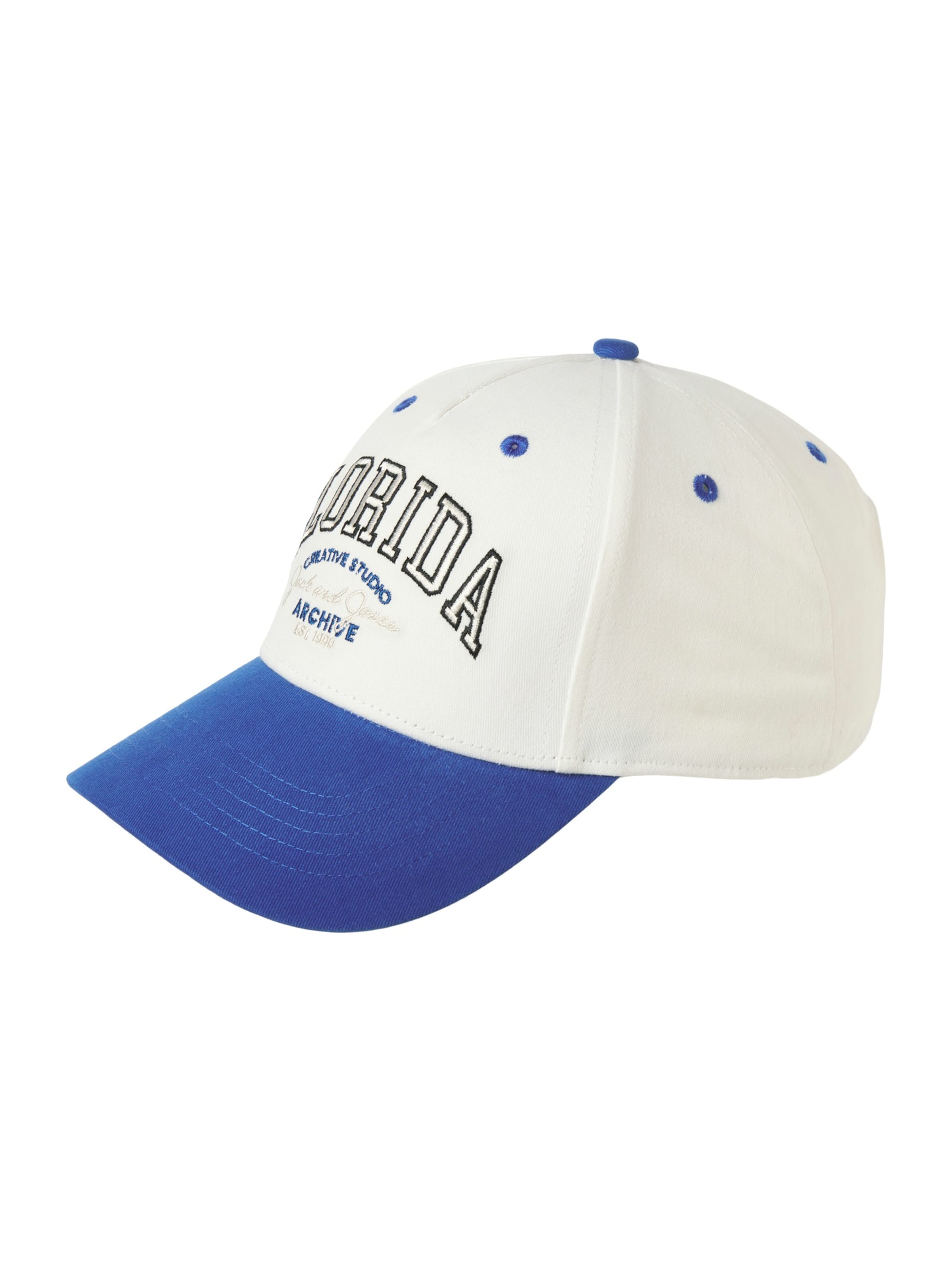 JACK & JONES Кепка 'JACBASE BRANDON' в белом цвете
JACK & JONES Кепка 'JACBASE BRANDON' в белом цвете