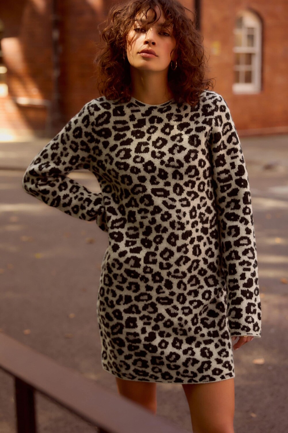 Короткое трикотажное платье трапеция с леопардовым принтом и длинными рукавами Next, нейтральный
Короткое трикотажное платье трапеция с леопардовым принтом и длинными рукавами Next, нейтральный