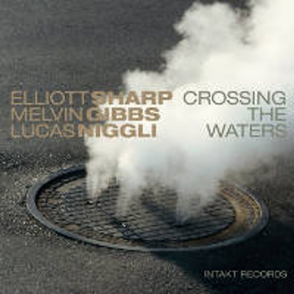 Диск CD Crossing The Waters - Elliott Sharp, Melvin Gibbs, Lucas Niggli
Диск CD Crossing The Waters - Elliott Sharp, Melvin Gibbs, Lucas Niggli