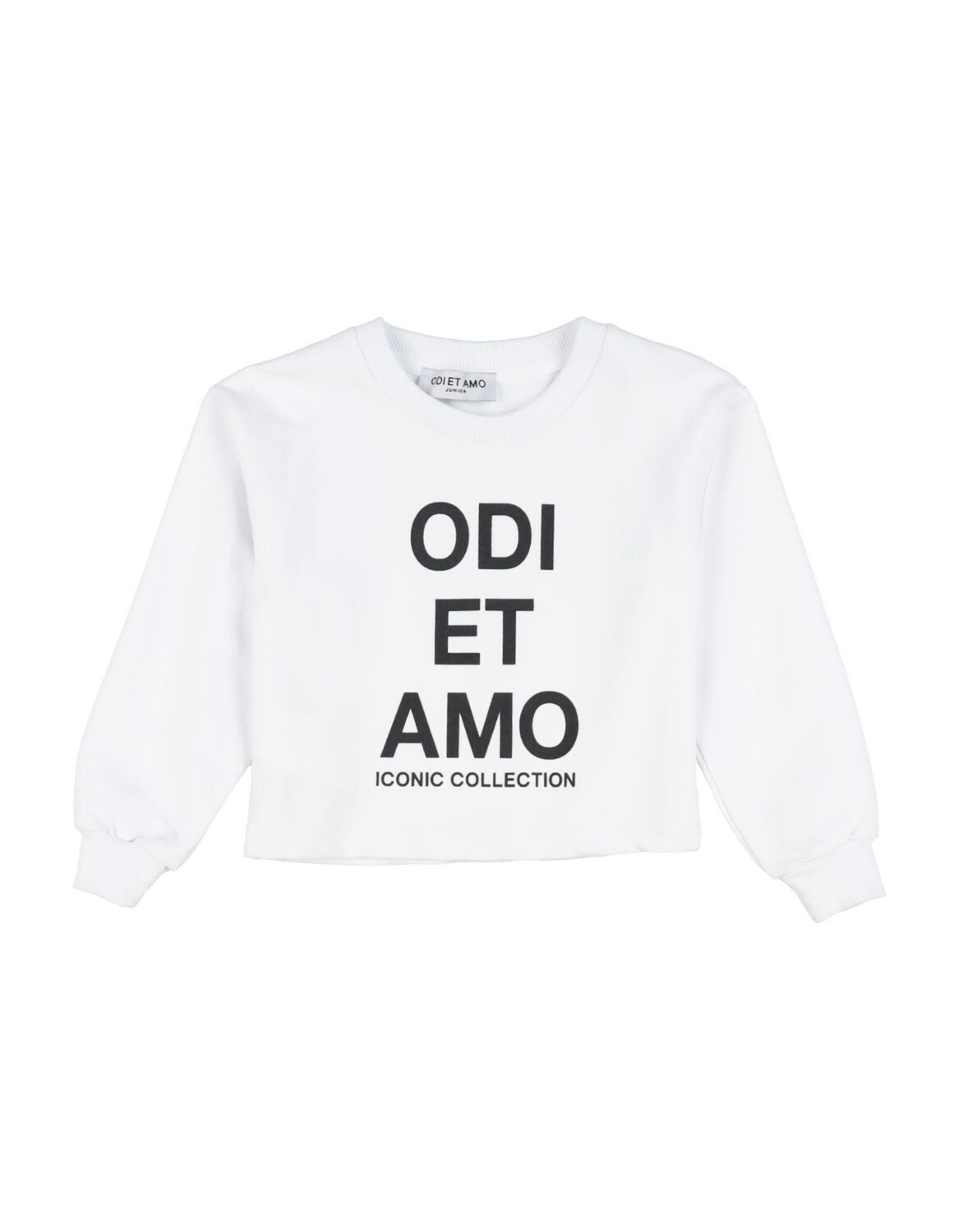Толстовка Odi Et Amo, белый
Толстовка Odi Et Amo, белый