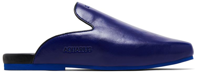 Кроссовки GOAT Horoscope Aquarius Mule Royal Blue/Black
Кроссовки GOAT Horoscope Aquarius Mule Royal Blue/Black