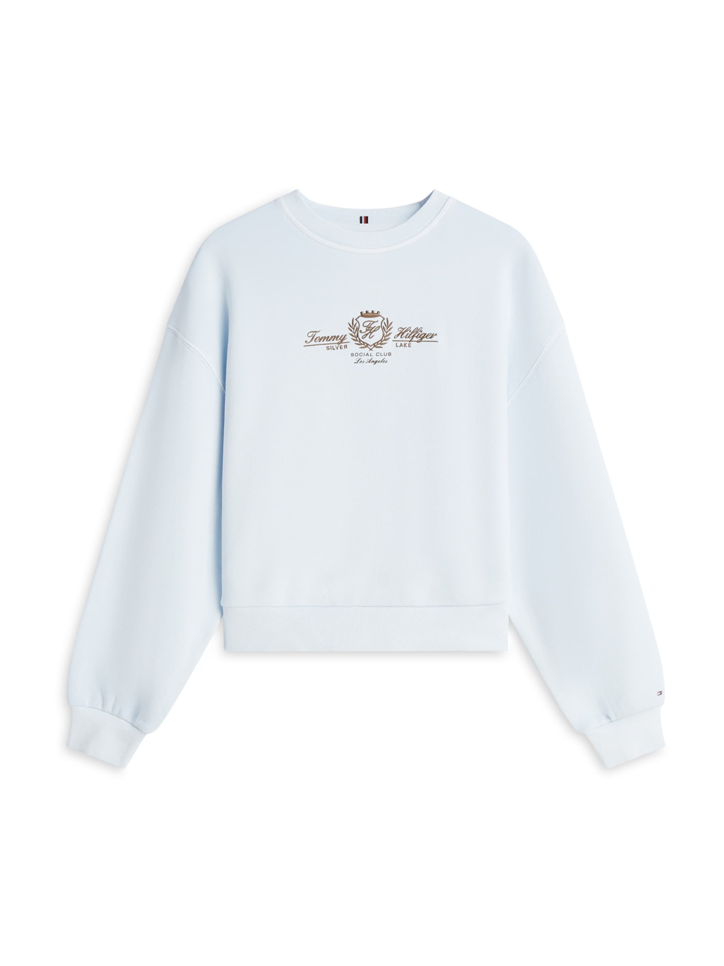 TOMMY HILFIGER Свитшот 'Varsity' в светло-голубом цвете
TOMMY HILFIGER Свитшот 'Varsity' в светло-голубом цвете