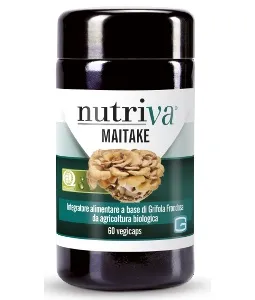 Nutriva Майтаке 60 растительных капсул
Nutriva Майтаке 60 растительных капсул