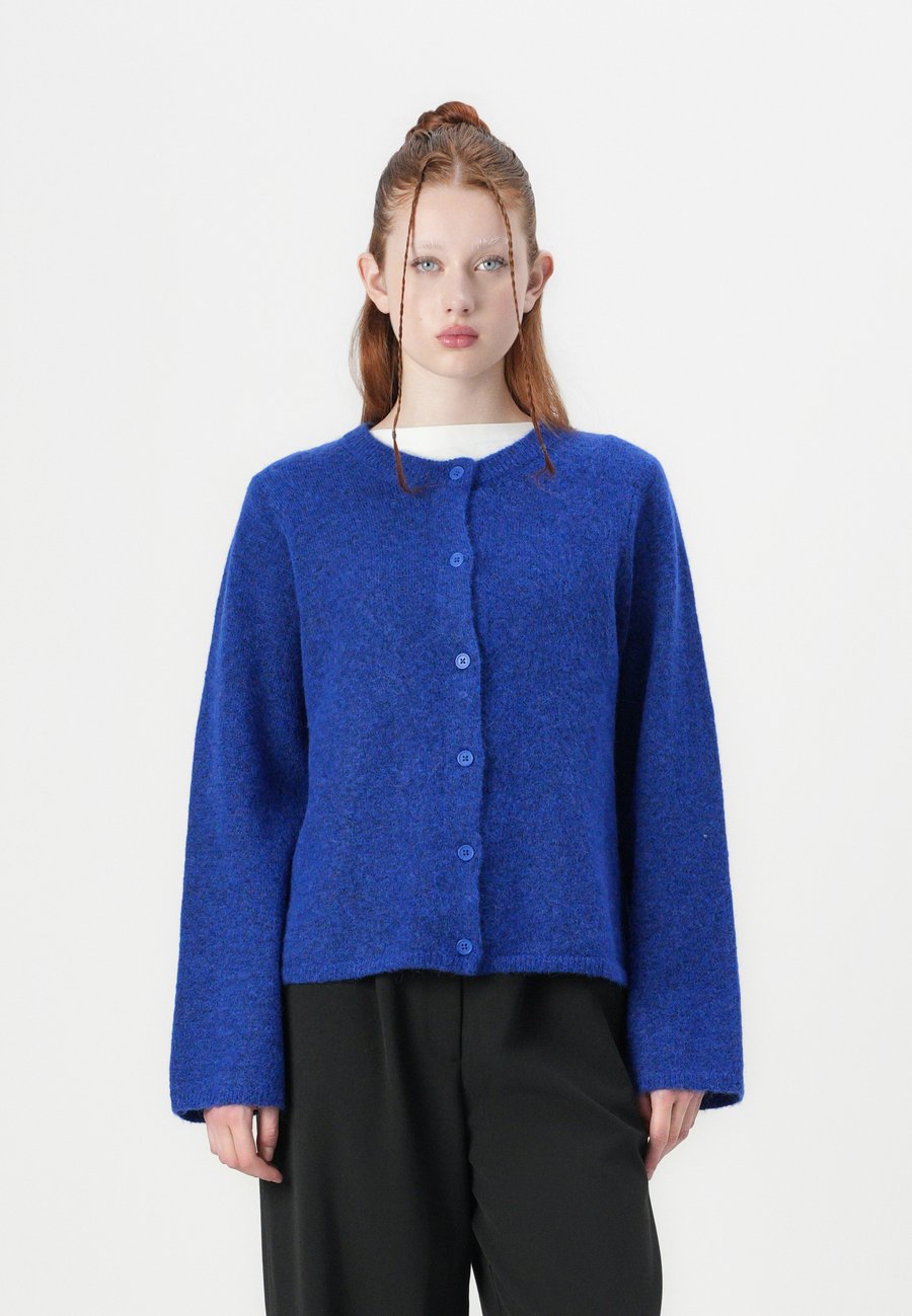 Кардиган Selected Femme SLFLULU NEW NOOS, Dazzling Blue /Blue
Кардиган Selected Femme SLFLULU NEW NOOS, Dazzling Blue /Blue