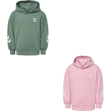 Толстовка с капюшоном для девочек Hummel hmlDUE HOODIE 218651
Толстовка с капюшоном для девочек Hummel hmlDUE HOODIE 218651