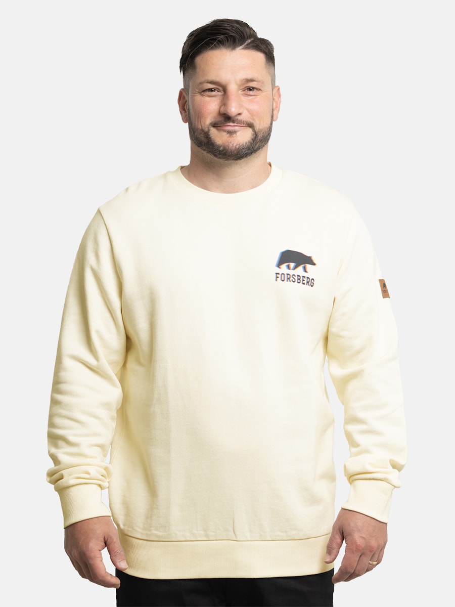 Толстовка FORSBERG mit kleinem Anaglyph-Logo, бежевый
Толстовка FORSBERG mit kleinem Anaglyph-Logo, бежевый