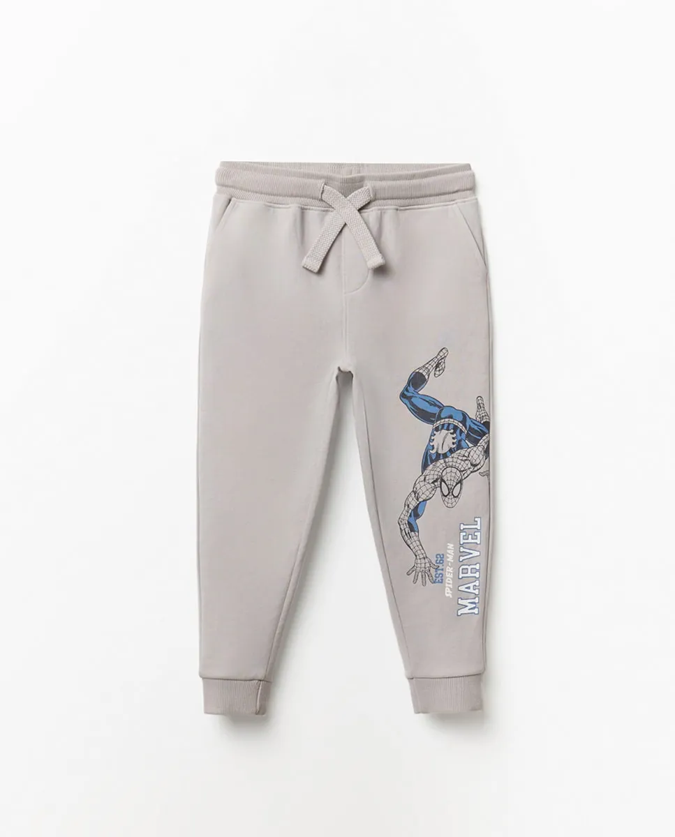 Штаны с лицензией Человека-паука Sfera, светло-серый
Штаны с лицензией Человека-паука Sfera, светло-серый
