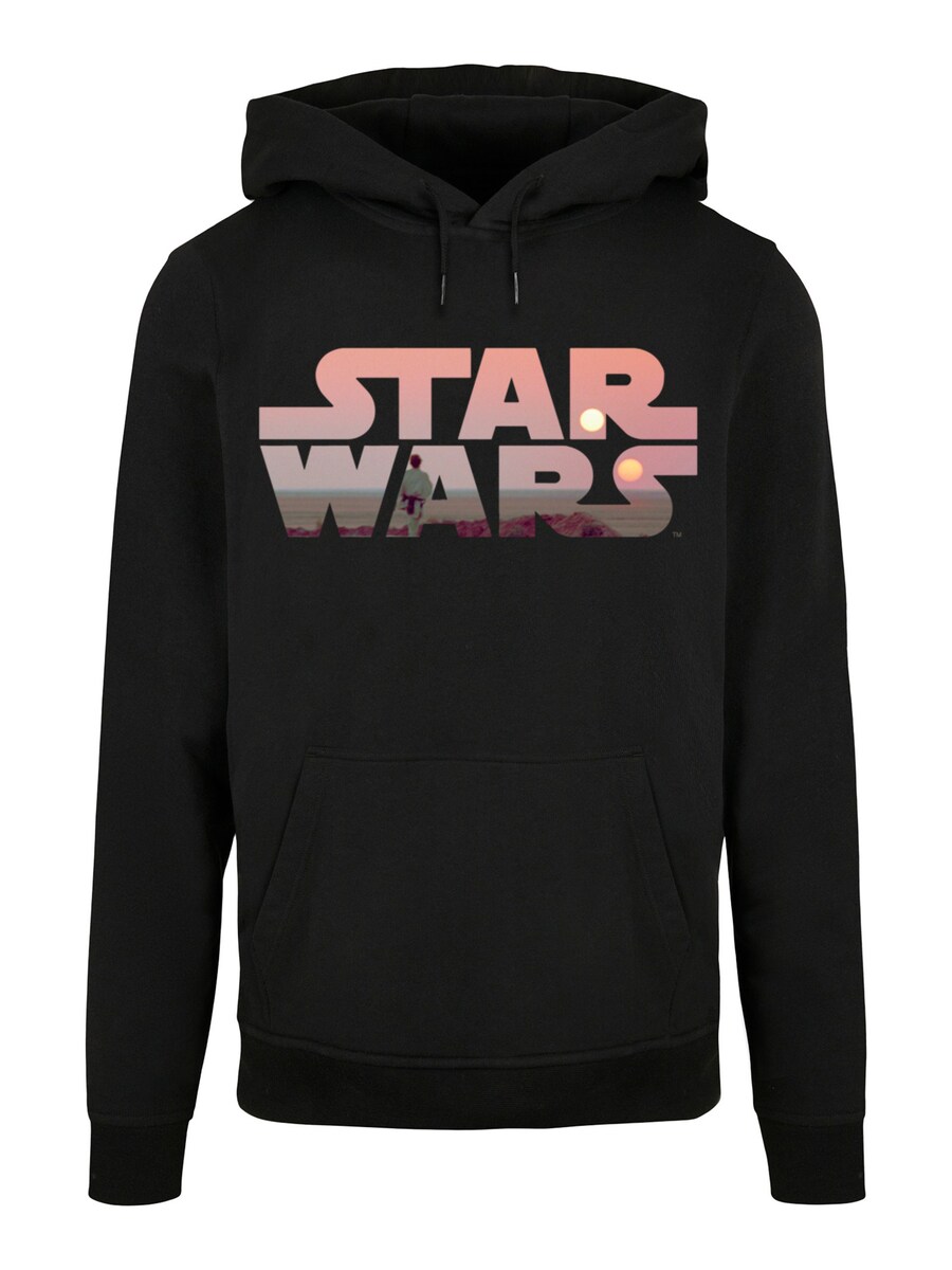 Толстовка F4NT4STIC Star Wars Tatooine, черный
Толстовка F4NT4STIC Star Wars Tatooine, черный