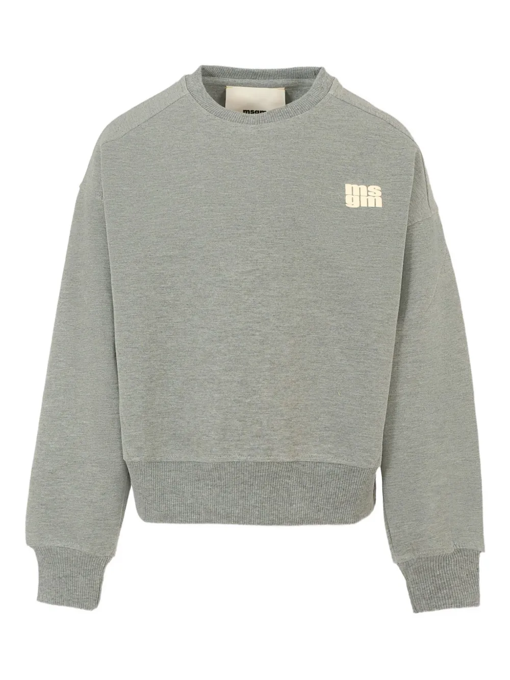 Толстовка с круглым вырезом и логотипом MSGM Kids, серый
Толстовка с круглым вырезом и логотипом MSGM Kids, серый