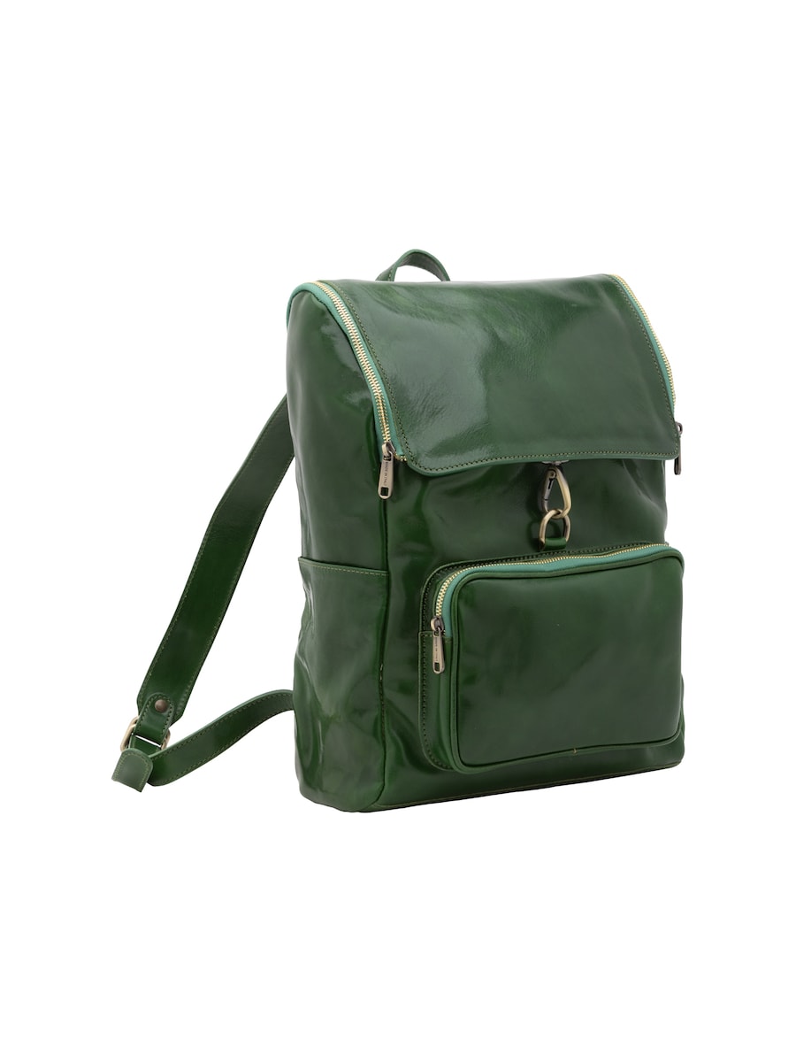 Рюкзак Viola Castellani, зеленый
Рюкзак Viola Castellani, зеленый