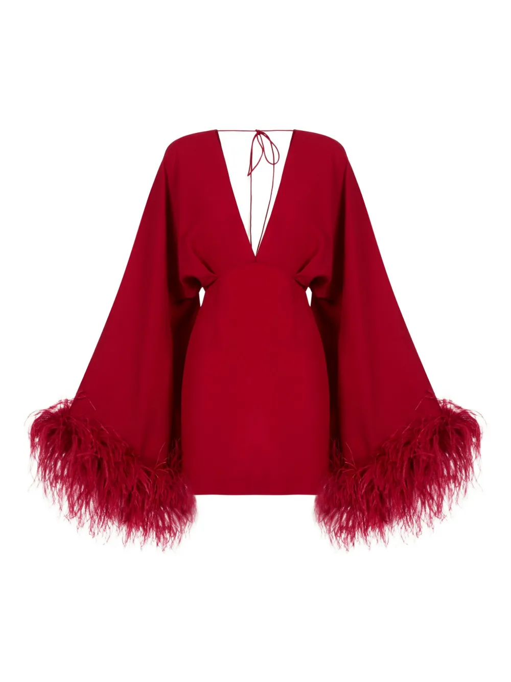 Платье мини Magnifique с перьями Taller Marmo, красный
Платье мини Magnifique с перьями Taller Marmo, красный