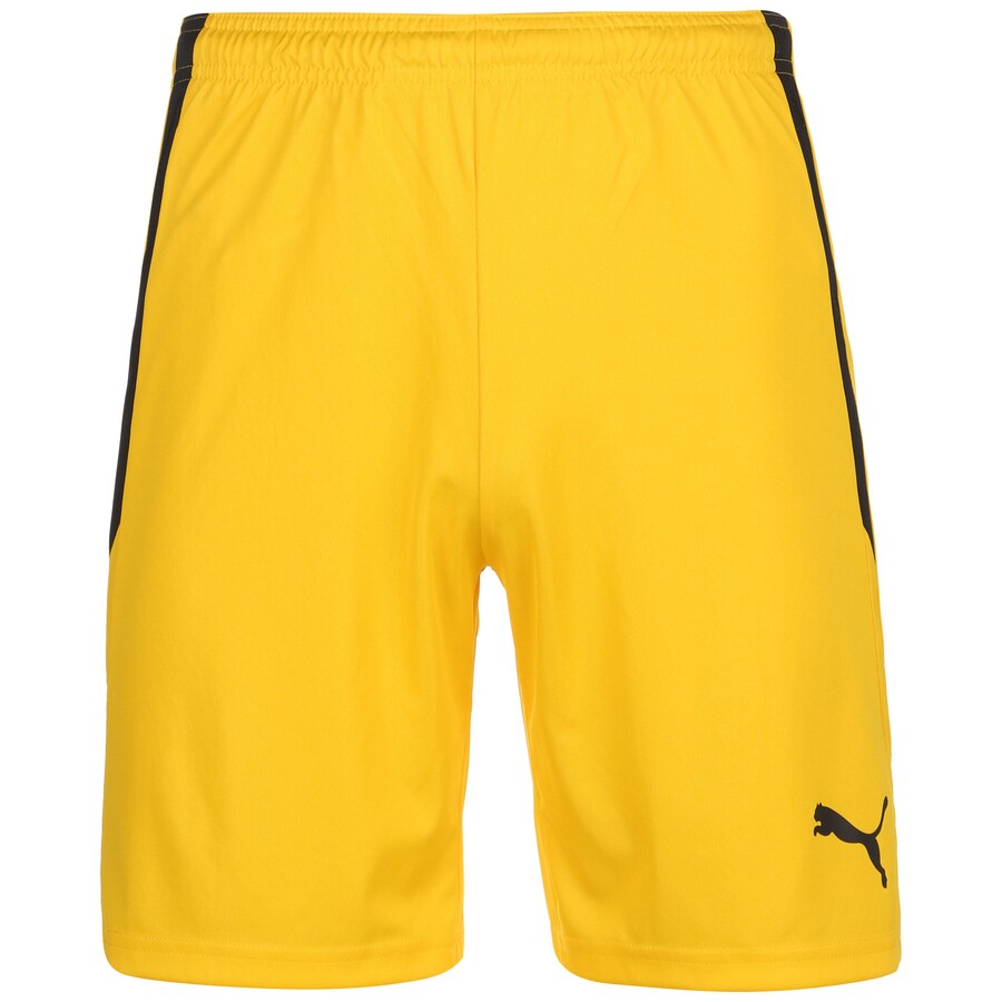 Обычные тренировочные брюки PUMA TeamLiga, желтый
Обычные тренировочные брюки PUMA TeamLiga, желтый