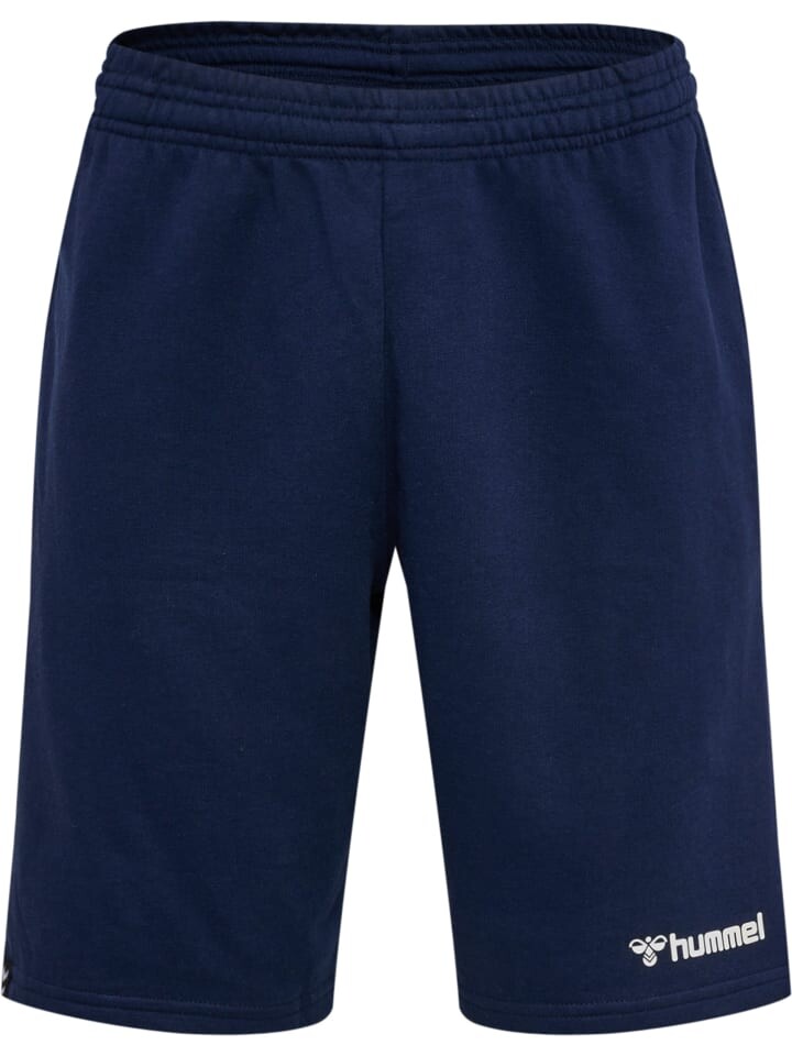 Шорты Hummel Hmlmover Multisport Herren, синий
Шорты Hummel Hmlmover Multisport Herren, синий