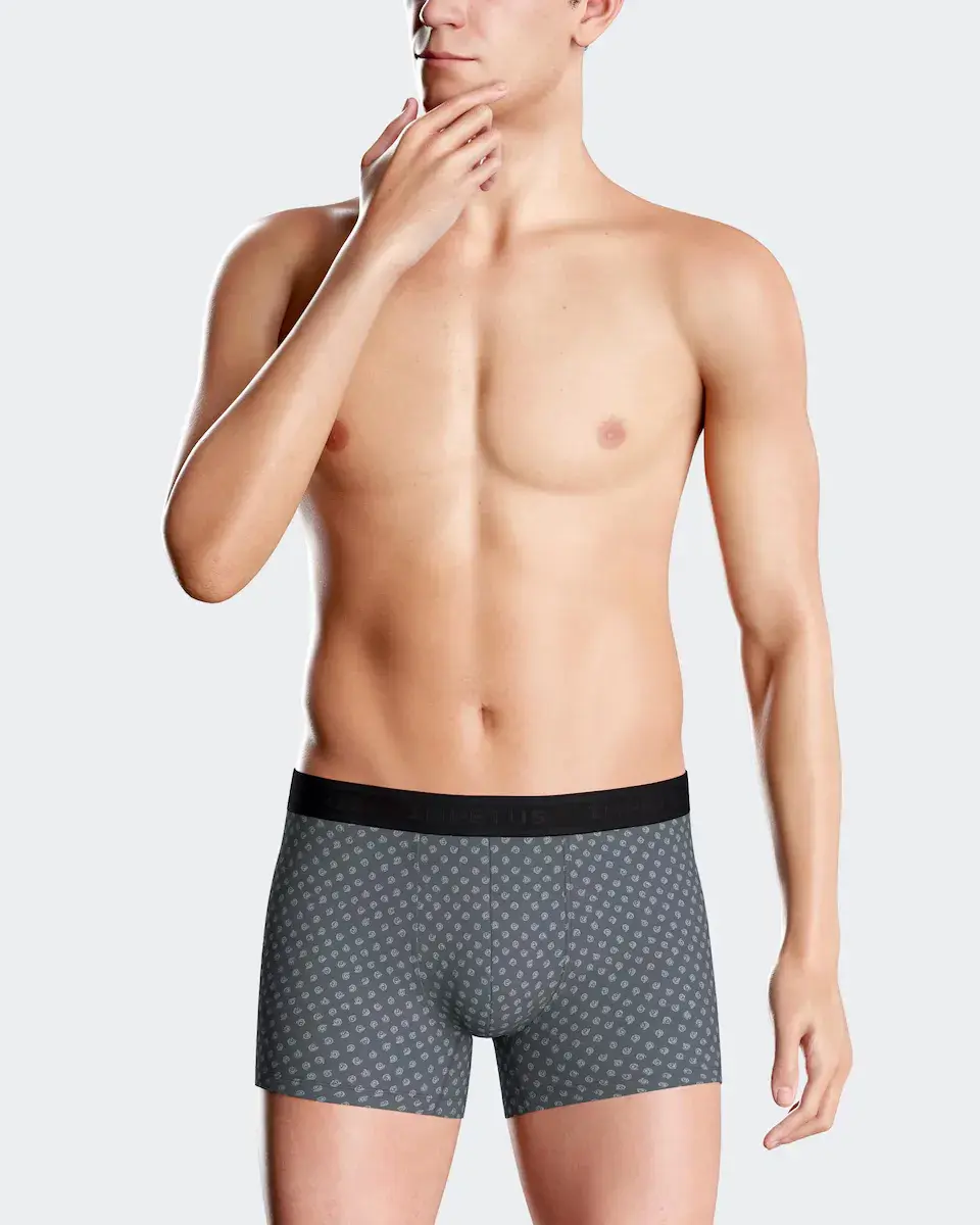 Мужские трикотажные боксерские шорты с принтом серого цвета Impetus, серый
Мужские трикотажные боксерские шорты с принтом серого цвета Impetus, серый