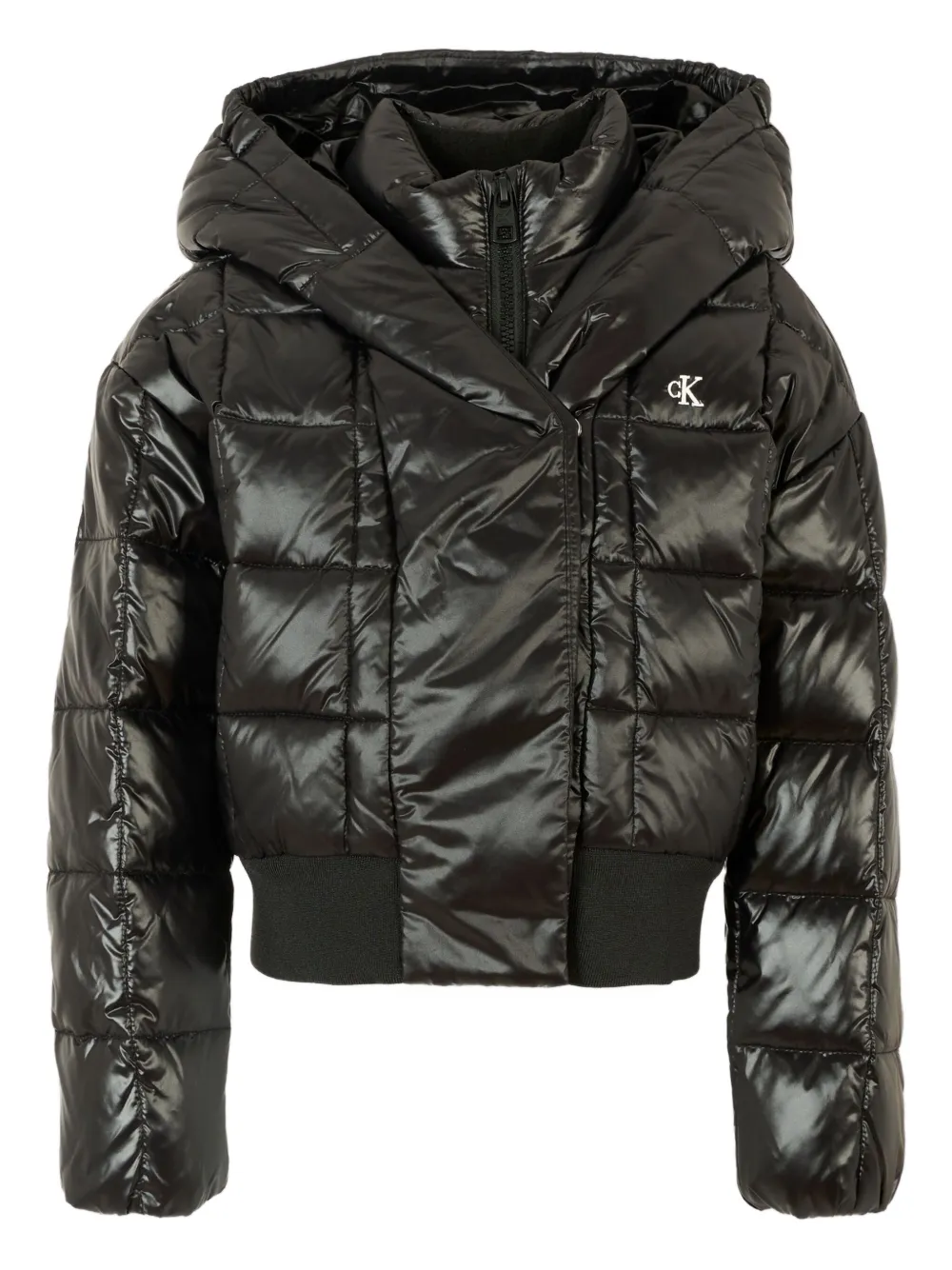 Стеганая куртка с капюшоном Calvin Klein Kids, черный
Стеганая куртка с капюшоном Calvin Klein Kids, черный