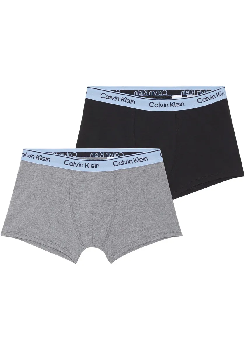 Calvin Klein Underwear Trunk "2PK TRUNK" (2 шт. в упаковке, 2 шт.), дети до 16 лет, черный
Calvin Klein Underwear Trunk "2PK TRUNK" (2 шт. в упаковке, 2 шт.), дети до 16 лет, черный