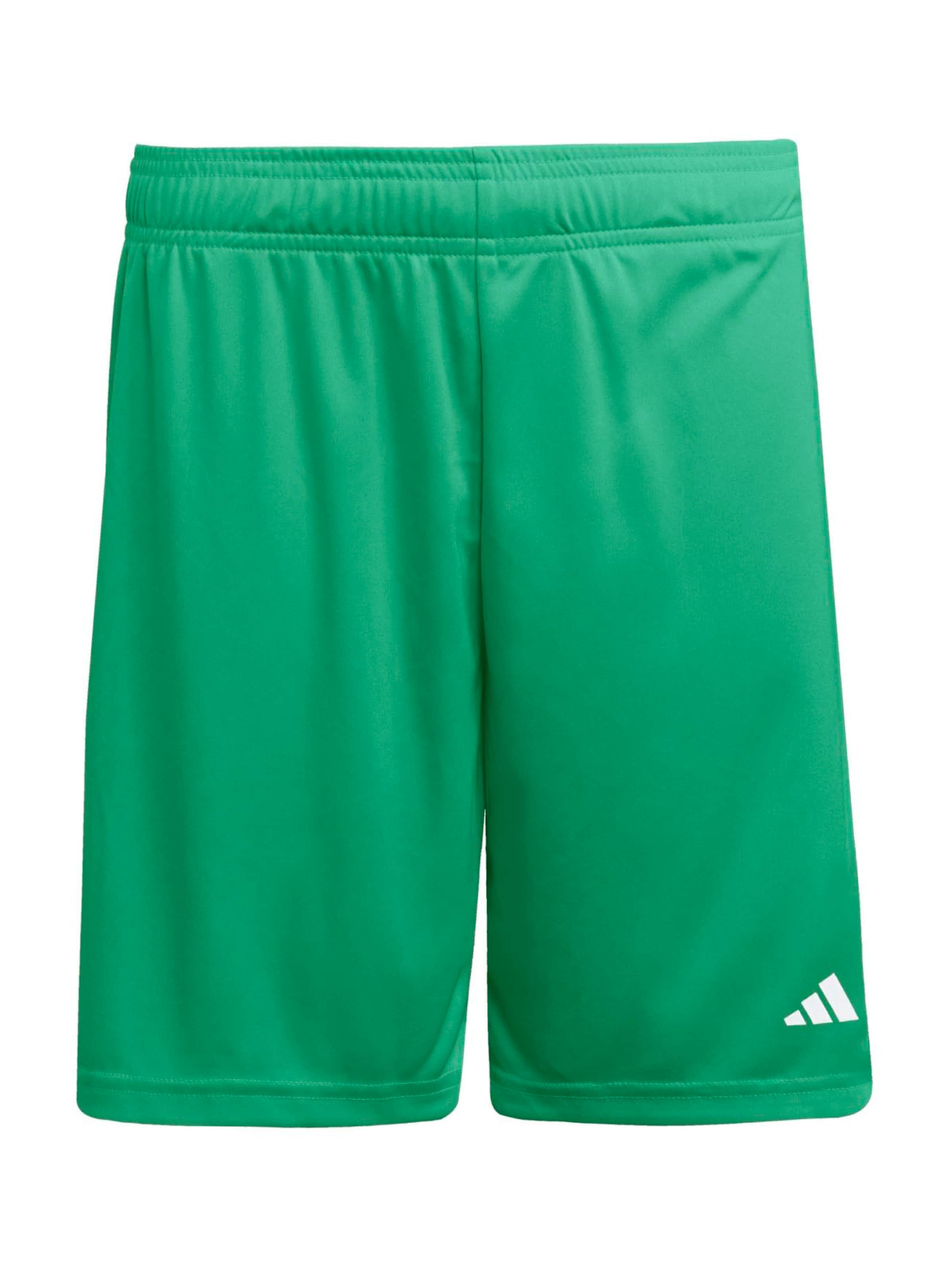 Adidas Performance Спортивные шорты Regular 'ENT26' в цвете Lime
Adidas Performance Спортивные шорты Regular 'ENT26' в цвете Lime