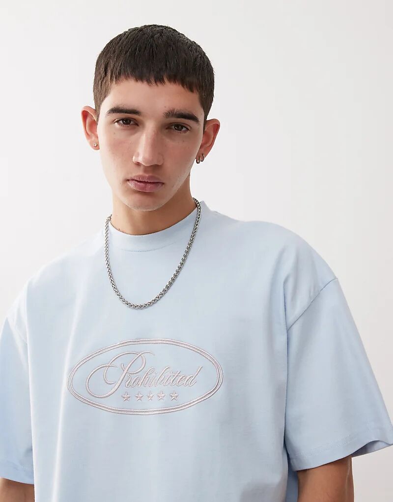 Футболка с запрещённой пятизвёздочной графикой светло-синего цвета
Футболка с запрещённой пятизвёздочной графикой светло-синего цвета