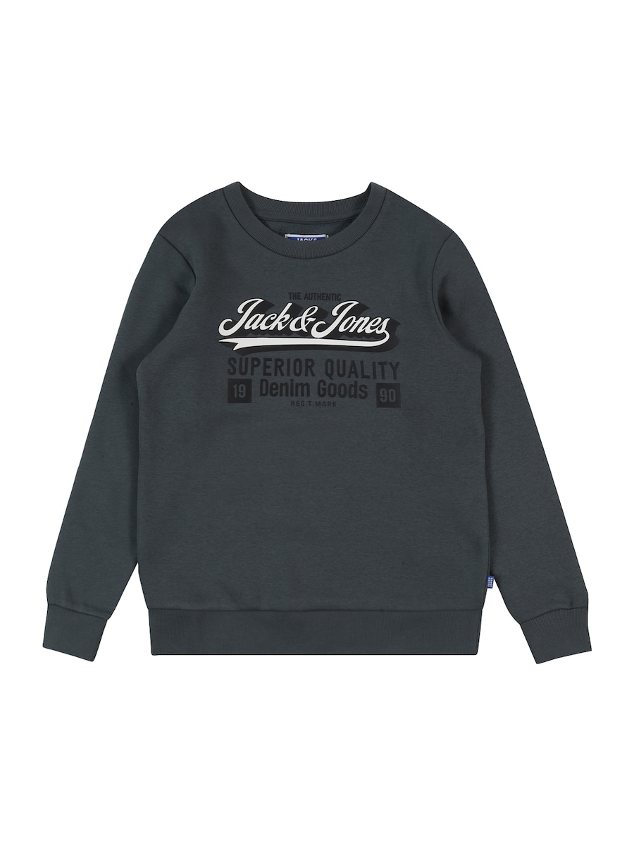 Толстовка Jack & Jones Junior, пыльно-синий
Толстовка Jack & Jones Junior, пыльно-синий