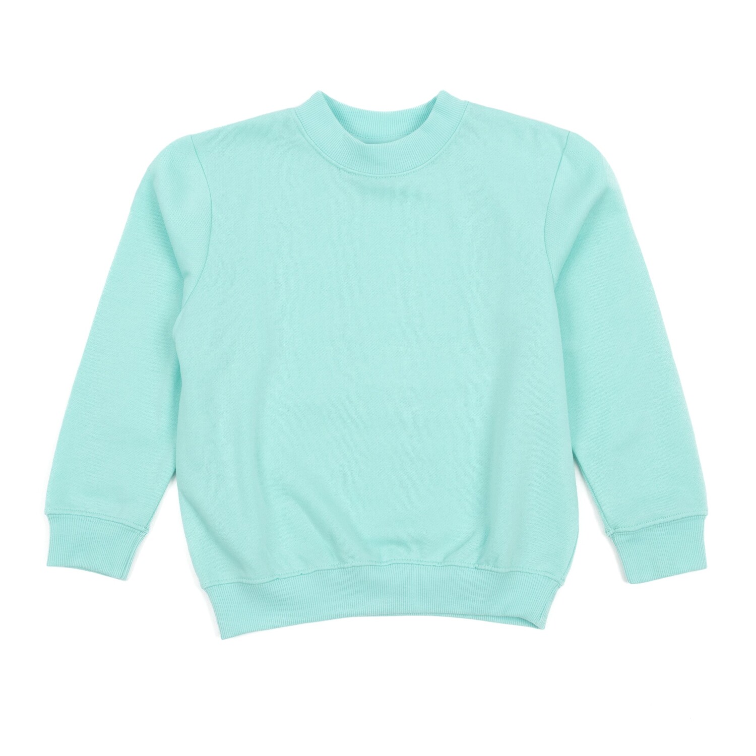 Детская толстовка с длинными рукавами, классическая однотонная Leveret, цвет Aqua
Детская толстовка с длинными рукавами, классическая однотонная Leveret, цвет Aqua