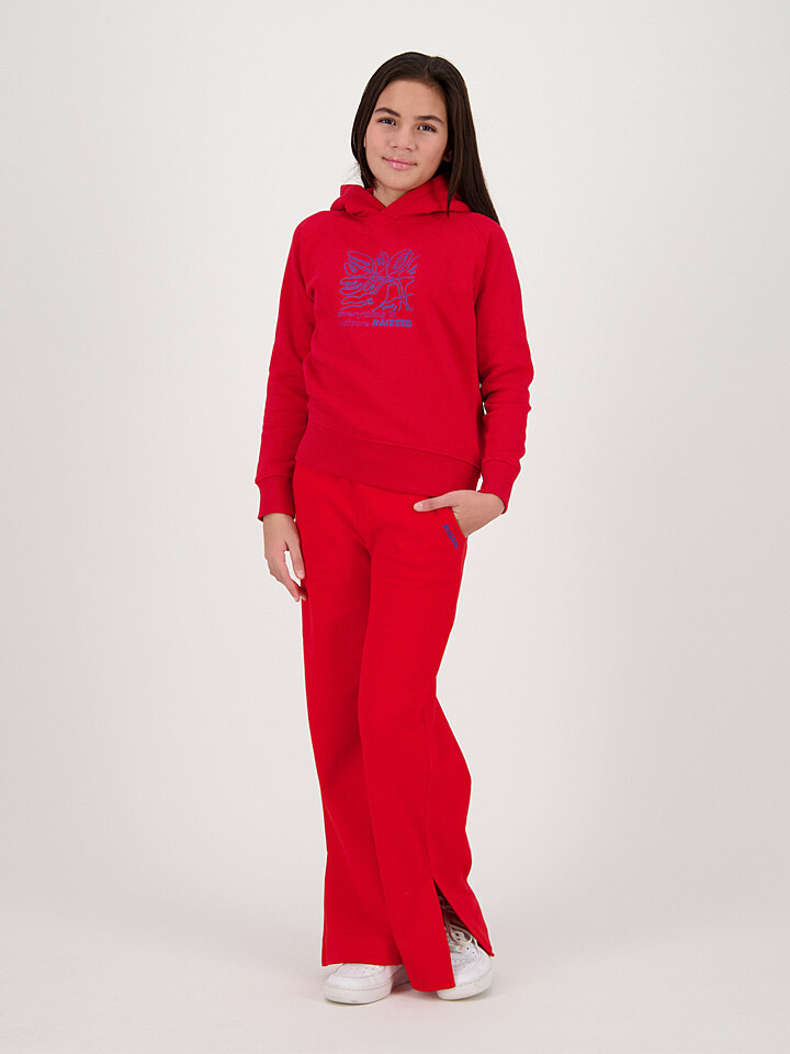 Пуловер с капюшоном RAIZZED, красный
Пуловер с капюшоном RAIZZED, красный