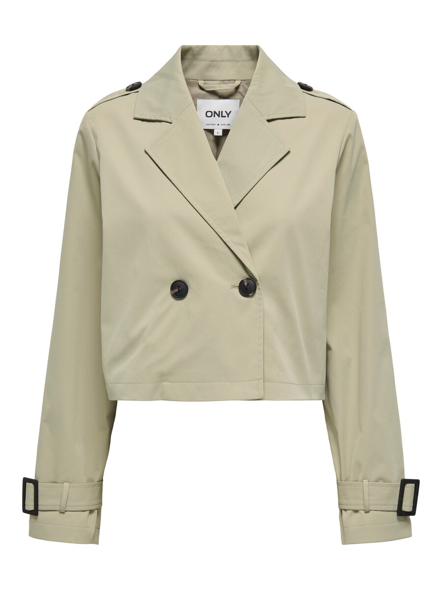 Блейзер ONLY ONLEJA, пастельный зеленый
Блейзер ONLY ONLEJA, пастельный зеленый