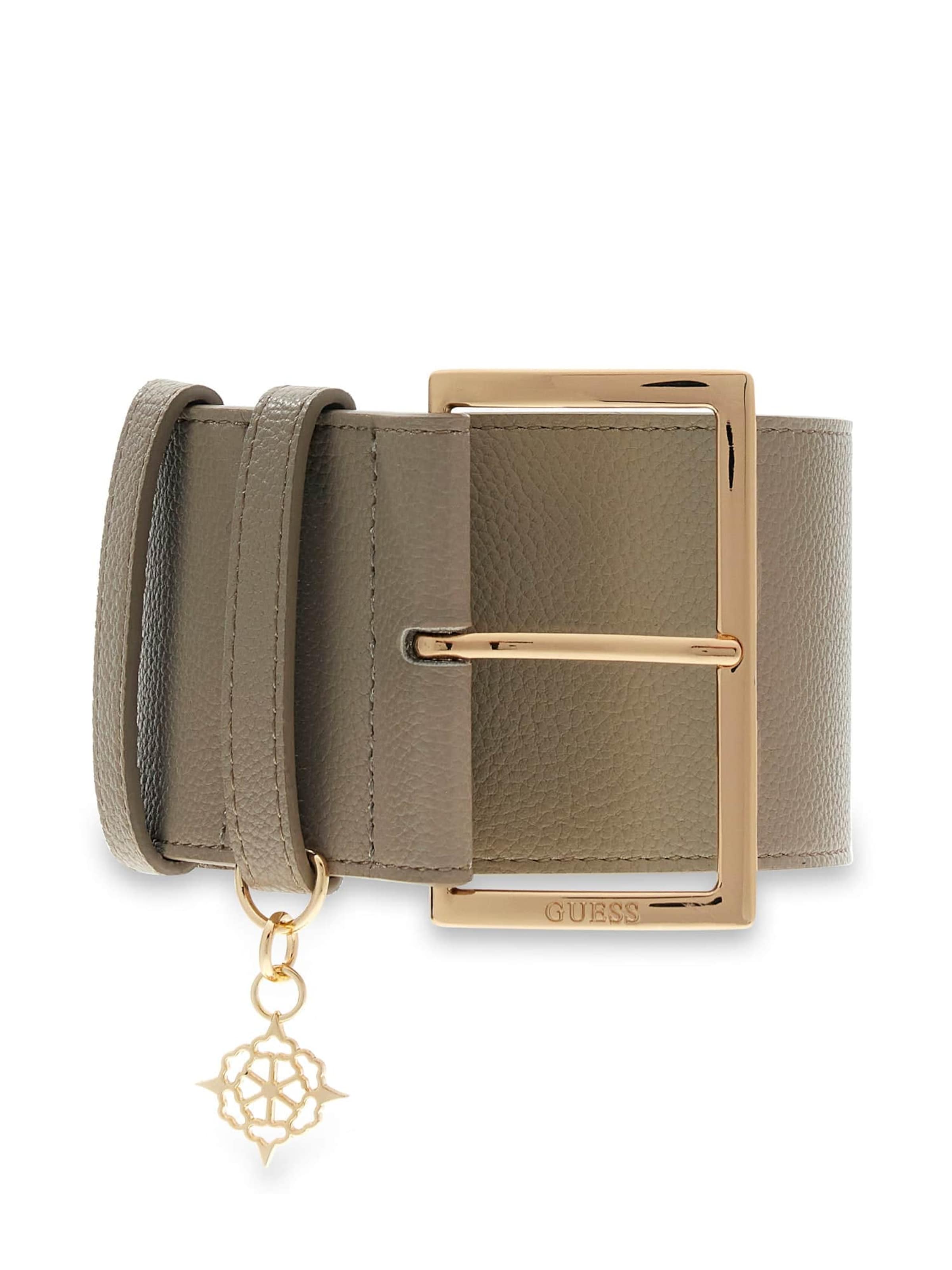 GUESS Ремень 'Danya' в коричневом цвете
GUESS Ремень 'Danya' в коричневом цвете