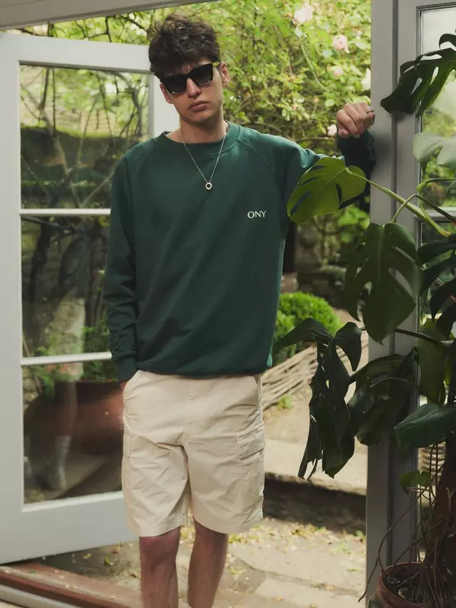 Толстовка Ony Logo Oversized, зеленый
Толстовка Ony Logo Oversized, зеленый