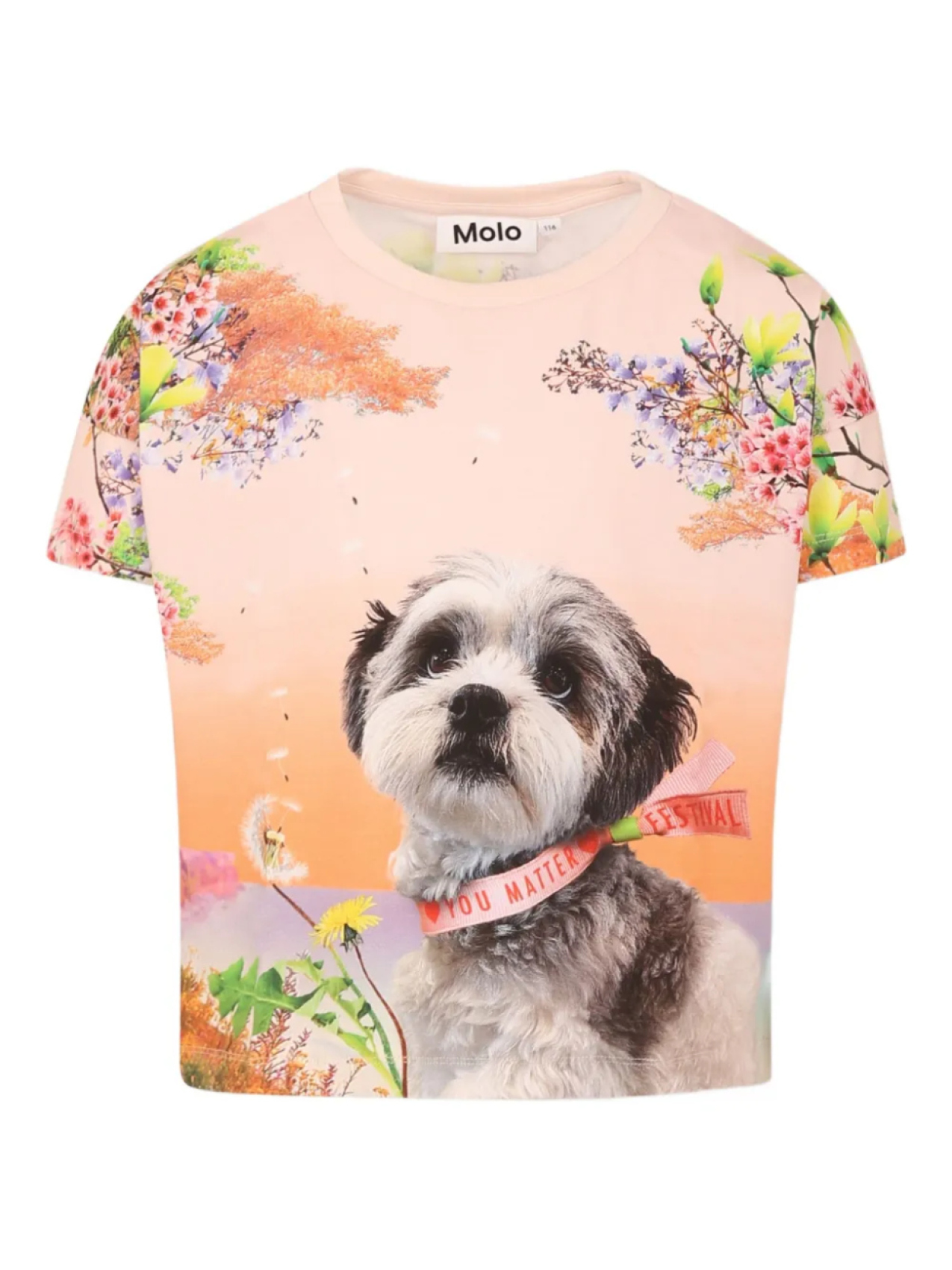 Футболка с графическим принтом Molo, нейтральный
Футболка с графическим принтом Molo, нейтральный