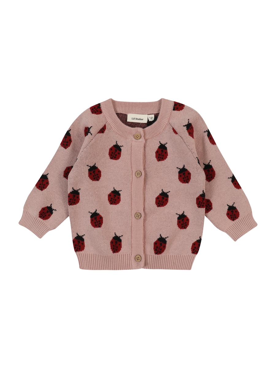 Вязаный кардиган NAME IT NBFLULIO, темно-розовый
Вязаный кардиган NAME IT NBFLULIO, темно-розовый