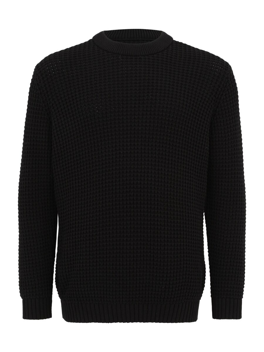 Свитер Jack & Jones Plus Sweater JCOZION, черный
Свитер Jack & Jones Plus Sweater JCOZION, черный