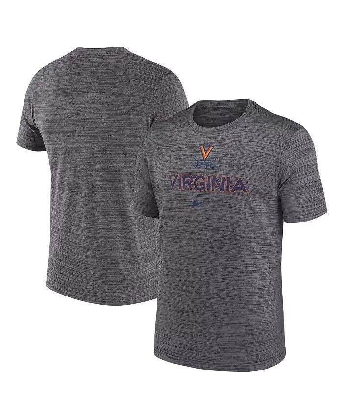 Мужская серая футболка Virginia Cavaliers 2024 Sideline Velocity Legend Performance Nike
Мужская серая футболка Virginia Cavaliers 2024 Sideline Velocity Legend Performance Nike