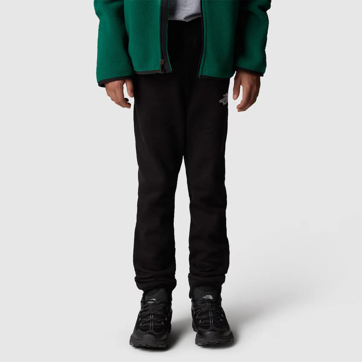 Спортивные брюки Slim Fit для мальчиков The North Face, черный 
Спортивные брюки Slim Fit для мальчиков The North Face, черный