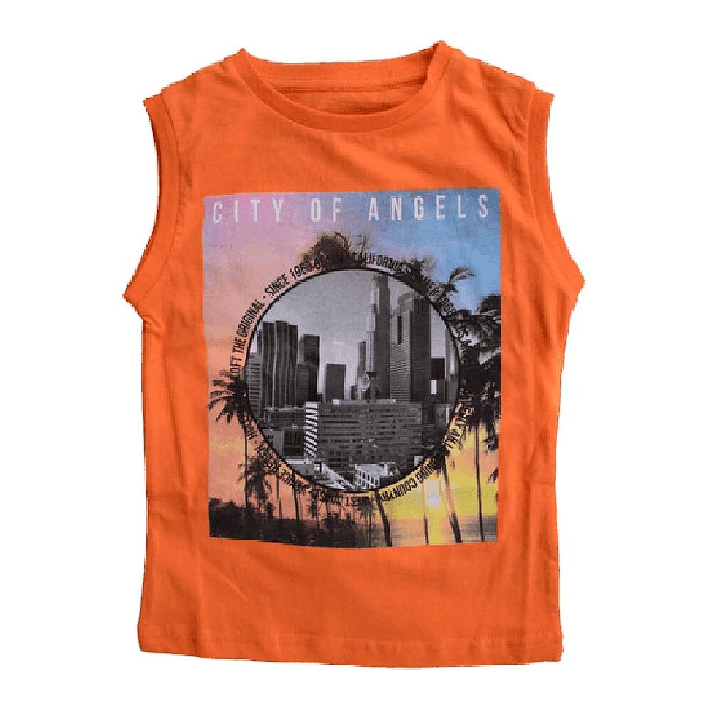 Детские хлопковые футболки и майки с короткими рукавами WEAR SIERRA, оранжевый
Детские хлопковые футболки и майки с короткими рукавами WEAR SIERRA, оранжевый