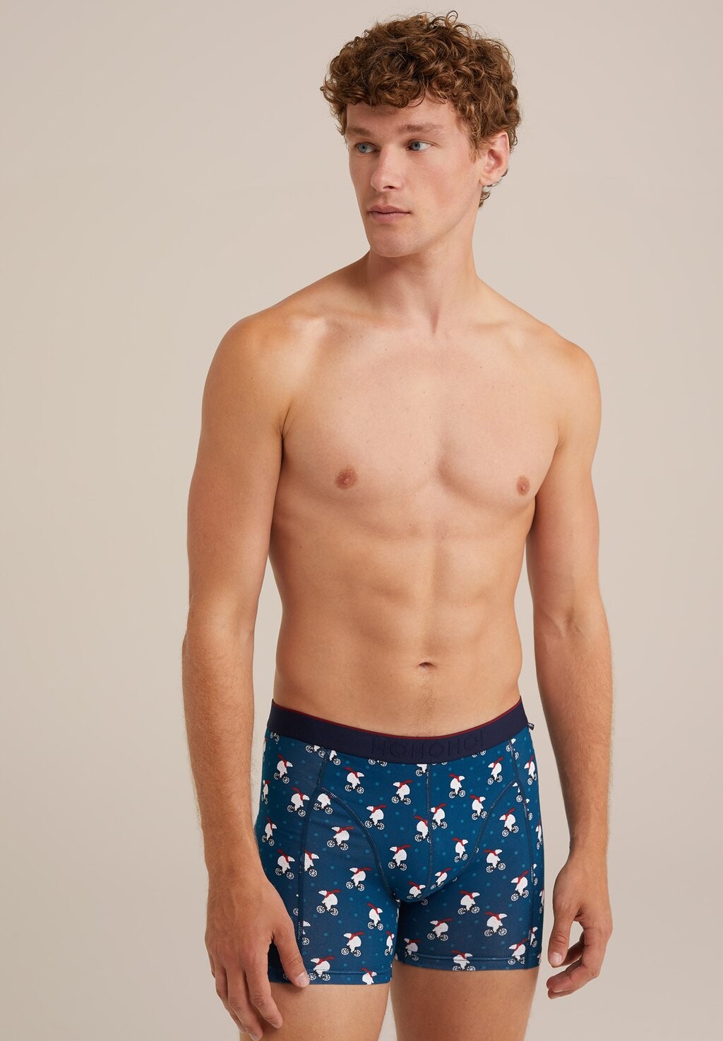 Трусы WE Fashion, деним
Трусы WE Fashion, деним