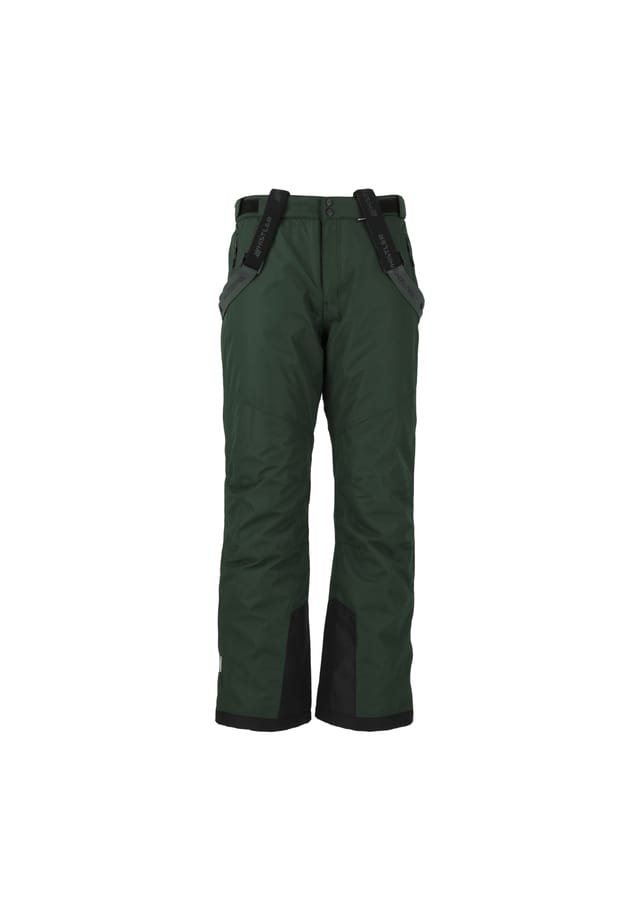 Лыжные брюки Fairfax с водонепроницаемой и ветрозащитной мембраной Whistler, цвет 3053 deep forest 
Лыжные брюки Fairfax с водонепроницаемой и ветрозащитной мембраной Whistler, цвет 3053 deep forest